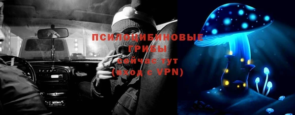 амф Вязьма