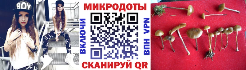 даркнет какой сайт  где найти   Новошахтинск  Галлюциногенные грибы Cubensis 
