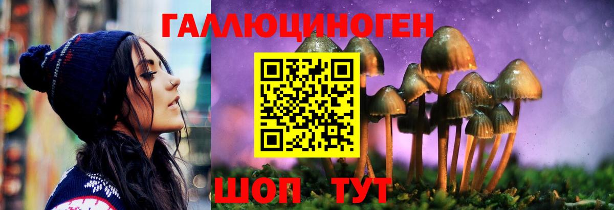 цена   Псилоцибиновые грибы прущие грибы  Вход с VPN  Новошахтинск  Псилоцибиновые грибы мухоморы 